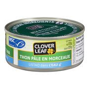 Thon Pale Mcx Clover L